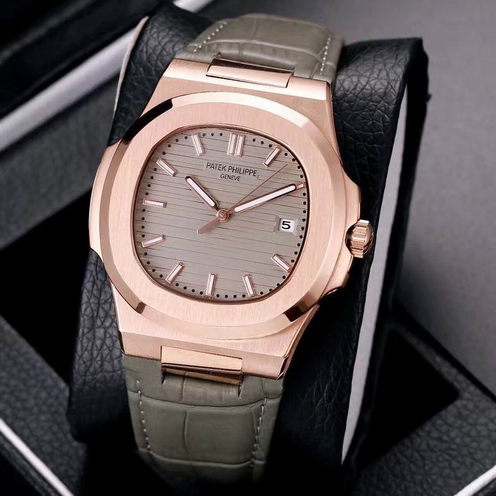 Patek Philippe Watch 213